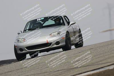 media/Nov-21-2025-Audi Club (Fri) [[8110d52e1e]]/Open Track Photos/3 Grapevine/